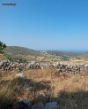 ΟΙΚΟΠΕΔΟ 30.000ΤΜ  700.000ΕΥΡΩ