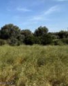 ΟΙΚΟΠΕΔΟ 4.150ΤΜ  200.000ΕΥΡΩ