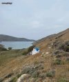ΟΙΚΟΠΕΔΟ 60.000ΤΜ  500.000ΕΥΡΩ