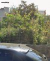 ΟΙΚΟΠΕΔΟ 1.057ΤΜ  1.800.000ΕΥΡΩ