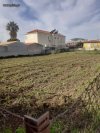 ΟΙΚΟΠΕΔΟ 436ΤΜ  120.000ΕΥΡΩ