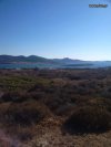 ΟΙΚΟΠΕΔΟ 1.000ΤΜ  220.000ΕΥΡΩ