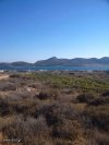 ΟΙΚΟΠΕΔΟ 1.000ΤΜ  220.000ΕΥΡΩ