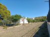 ΟΙΚΟΠΕΔΟ 1.560ΤΜ  300.000ΕΥΡΩ