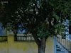 ΟΙΚΟΠΕΔΟ 177ΤΜ  235.000ΕΥΡΩ