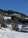 ΜΟΝΟΚΑΤΟΙΚΙΑ 220ΤΜ  370.000ΕΥΡΩ