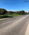ΟΙΚΟΠΕΔΟ 3.000ΤΜ  100.000ΕΥΡΩ