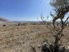 ΟΙΚΟΠΕΔΟ 3.857ΤΜ  100.000ΕΥΡΩ
