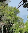 ΟΙΚΟΠΕΔΟ 752ΤΜ  500.000ΕΥΡΩ