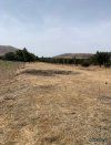 ΟΙΚΟΠΕΔΟ 2.134ΤΜ  60.000ΕΥΡΩ