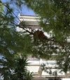 ΟΡΟΦΔΙΑΜΕΡΙΣΜΑ 90ΤΜ  1.100ΕΥΡΩ