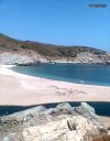 ΟΙΚΟΠΕΔΟ 110.000ΤΜ  900.000ΕΥΡΩ