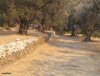 ΟΙΚΟΠΕΔΟ 4.100ΤΜ  150.000ΕΥΡΩ