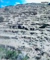 ΟΙΚΟΠΕΔΟ 9.489ΤΜ  120.000ΕΥΡΩ