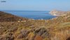 ΟΙΚΟΠΕΔΟ 7.258ΤΜ  260.000ΕΥΡΩ