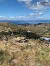 ΟΙΚΟΠΕΔΟ 5.300ΤΜ  110.000ΕΥΡΩ