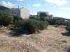ΟΙΚΟΠΕΔΟ 200ΤΜ  50.000ΕΥΡΩ