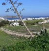 ΟΙΚΟΠΕΔΟ 6.900ΤΜ  700.000ΕΥΡΩ