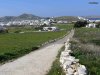 ΟΙΚΟΠΕΔΟ 6.900ΤΜ  700.000ΕΥΡΩ
