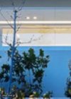 ΜΕΖΟΝΕΤΑ 260ΤΜ  900.000ΕΥΡΩ