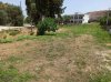 ΟΙΚΟΠΕΔΟ 1.060ΤΜ  170.000ΕΥΡΩ