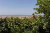 ΜΟΝΟΚΑΤΟΙΚΙΑ 500ΤΜ  870.000ΕΥΡΩ