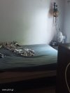 ΜΟΝΟΚΑΤΟΙΚΙΑ 72ΤΜ  300.000ΕΥΡΩ