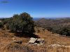 ΟΙΚΟΠΕΔΟ 32.000ΤΜ  350.000ΕΥΡΩ