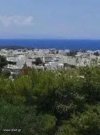 ΟΙΚΟΠΕΔΟ 600ΤΜ  520.000ΕΥΡΩ