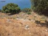 ΟΙΚΟΠΕΔΟ 2.049ΤΜ  175.000ΕΥΡΩ