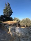 ΟΙΚΟΠΕΔΟ 1.986ΤΜ  100.000ΕΥΡΩ