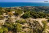 ΟΙΚΟΠΕΔΟ 215ΤΜ  40.000ΕΥΡΩ