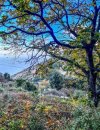 ΜΟΝΟΚΑΤΟΙΚΙΑ 100ΤΜ  100.000ΕΥΡΩ