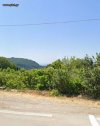 ΟΙΚΟΠΕΔΟ 630ΤΜ  180.000ΕΥΡΩ