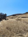 ΟΙΚΟΠΕΔΟ 6.400ΤΜ  160.000ΕΥΡΩ
