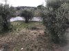 ΜΟΝΟΚΑΤΟΙΚΙΑ 280ΤΜ  1.700ΕΥΡΩ