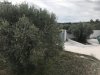 ΜΟΝΟΚΑΤΟΙΚΙΑ 280ΤΜ  1.700ΕΥΡΩ