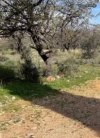 ΟΙΚΟΠΕΔΟ 400ΤΜ  250.000ΕΥΡΩ