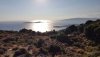 ΟΙΚΟΠΕΔΟ 5.200ΤΜ  90.000ΕΥΡΩ