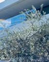 ΜΟΝΟΚΑΤΟΙΚΙΑ 460ΤΜ  2.400.000ΕΥΡΩ