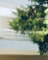 ΜΟΝΟΚΑΤΟΙΚΙΑ 100ΤΜ  250.000ΕΥΡΩ