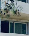 ΜΕΖΟΝΕΤΑ 110ΤΜ  350.000ΕΥΡΩ
