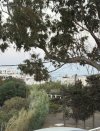 ΟΙΚΟΠΕΔΟ 2.800ΤΜ  450.000ΕΥΡΩ