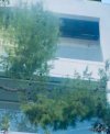 ΜΟΝΟΚΑΤΟΙΚΙΑ 370ΤΜ  5.000.000ΕΥΡΩ