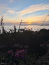 ΟΙΚΟΠΕΔΟ 980ΤΜ  1.000.000ΕΥΡΩ
