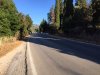 ΟΙΚΟΠΕΔΟ 10.000ΤΜ  700ΕΥΡΩ