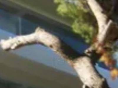 ΟΡΟΦΔΙΑΜΕΡΙΣΜΑ 135ΤΜ  600.000ΕΥΡΩ