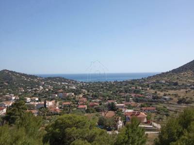ΟΙΚΟΠΕΔΟ 250ΤΜ  200.000ΕΥΡΩ