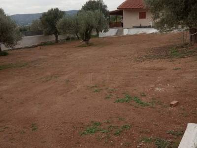 ΜΟΝΟΚΑΤΟΙΚΙΑ 85ΤΜ  210.000ΕΥΡΩ