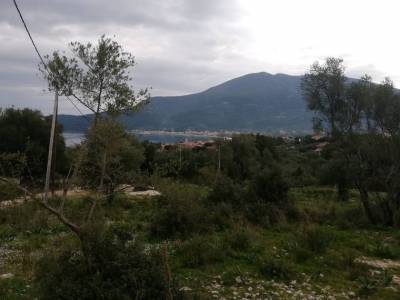 ΟΙΚΟΠΕΔΟ 2.200ΤΜ  150.000ΕΥΡΩ